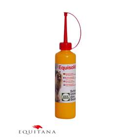 Stassek Equisolid