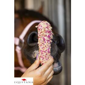 Ecler Candy Horse Gomfrena Rainbow World