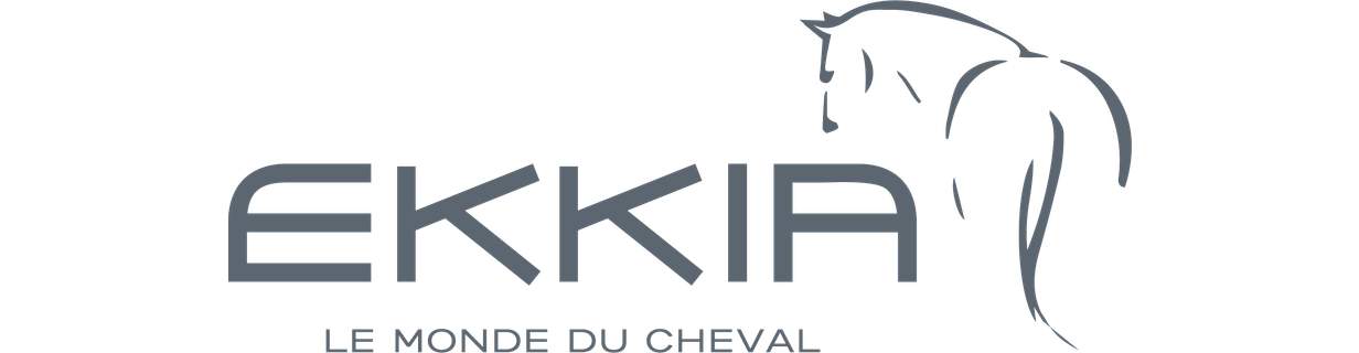 Ekkia