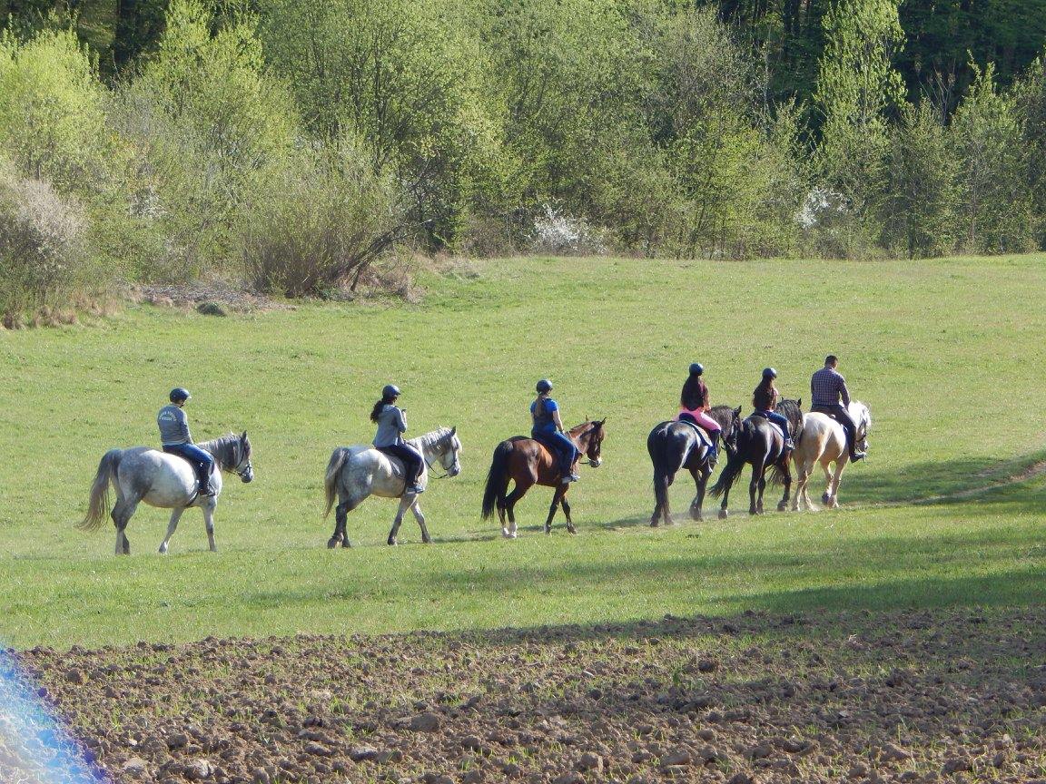 Centrul de echitație Mentor, Hidișelu de Jos, jud. Bihor