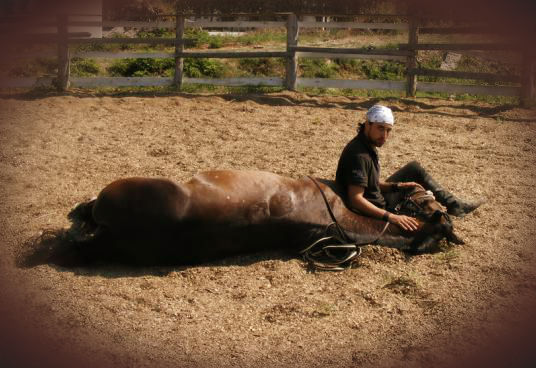 DRESAJ NATURAL LA CAII LUPILOR, Equitana si actorul Denis Stefan