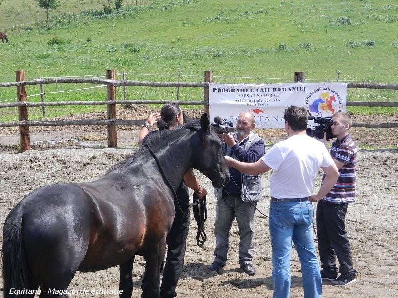 CAII LUPILOR, DENIS STEFAN SI EQUITANA LA BISTRITA