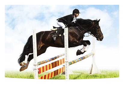 Concurs National de sarituri peste obstacole ROYAL HORSE SHOW JUMPING, la Clubul Sportiv Piccadilly