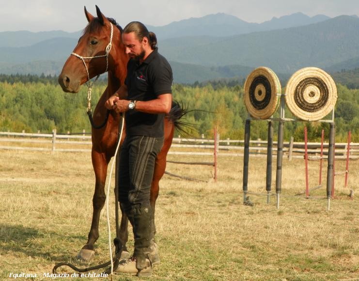 DRESAJ NATURAL LA POALELE MUNTILOR, PENSIUNEA FERMA BRANDUSA