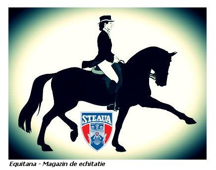 IN ACEST WEEK-END: CUPA ROMANIEI, Dresaj 2012 Grand-Prix-ul Romaniei,  Ed. III