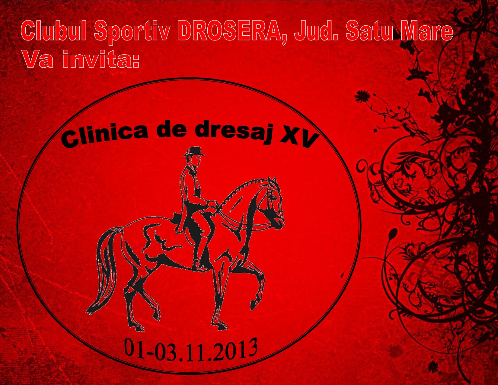01-03.11.2013 CLINICA DE DRESAJ XV, Clubul Sportiv Drosera, Jud. Satu Mare