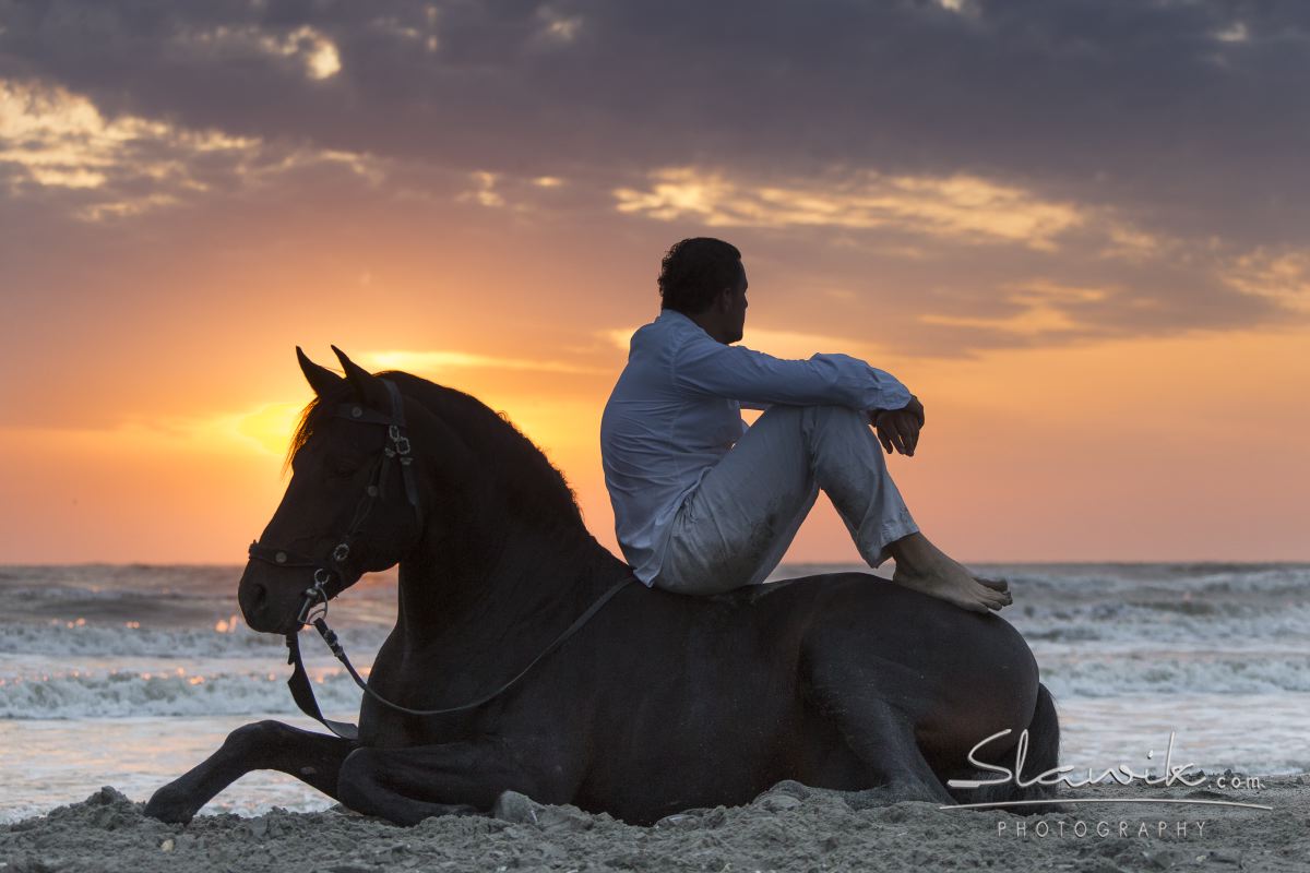 CURS DE "NATURAL HORSEMANSHIP" APLICAT SI COMPORTAMENT CABALIN