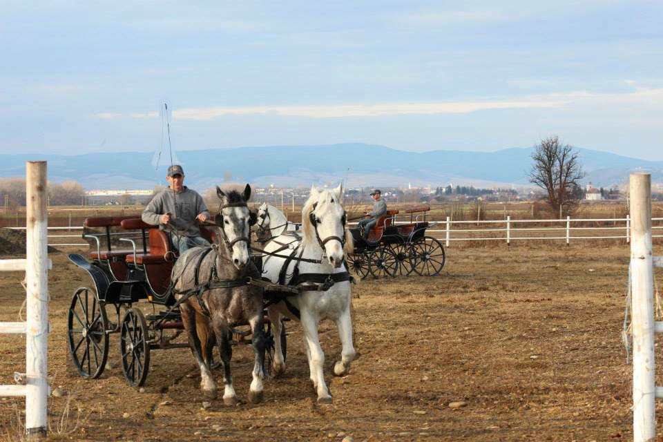 Clubul Ecvestru Sacramento, Zăbala, judeţul Covasna