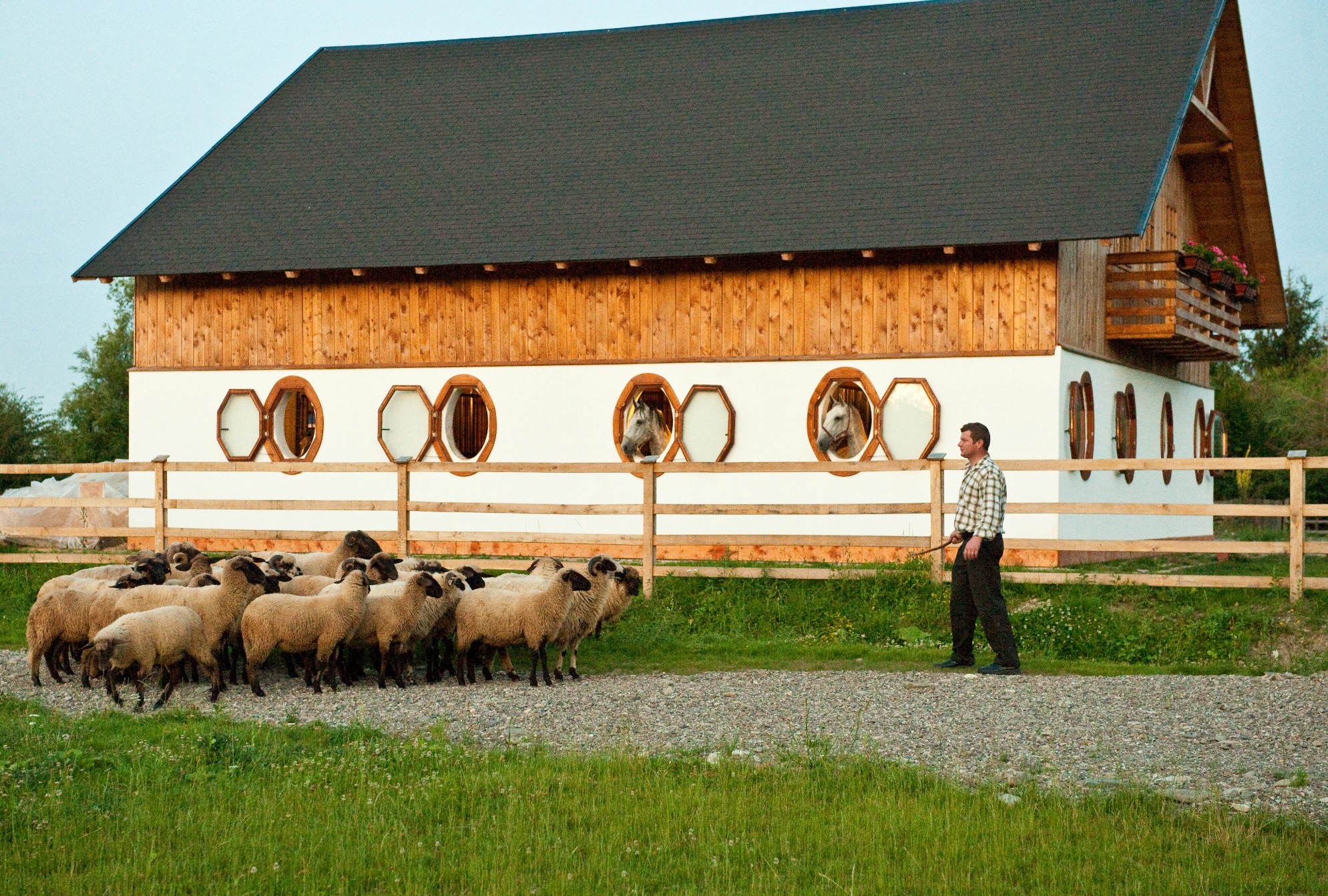 Echitaţie la Pensiunea Acasă în Bucovina, Gura Humorului, jud. Suceava