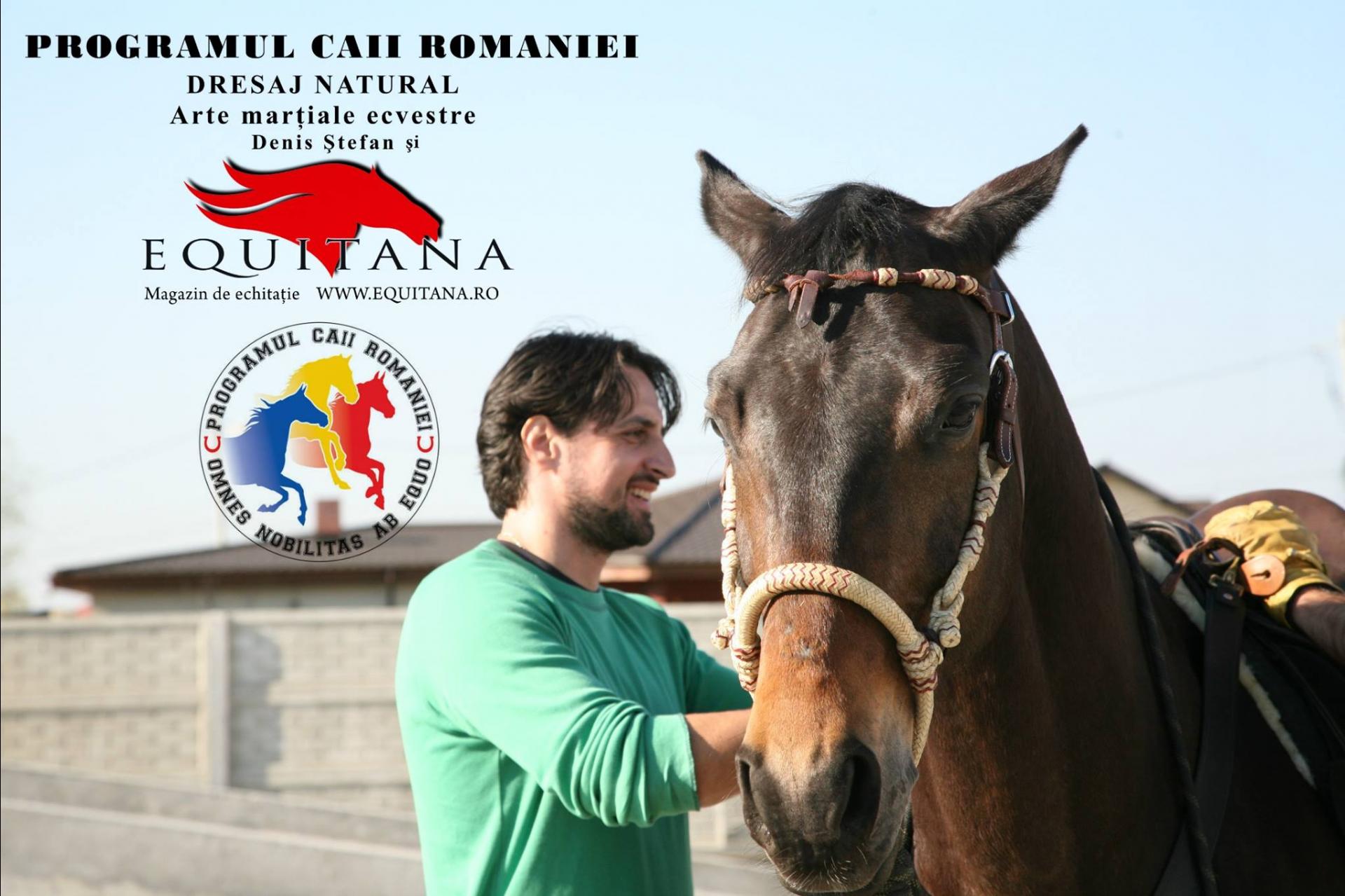 13 Ani de Pasiune pentru Cai: Denis Ștefan vă povestește despre Programul Caii României cu sprijinul Equitana