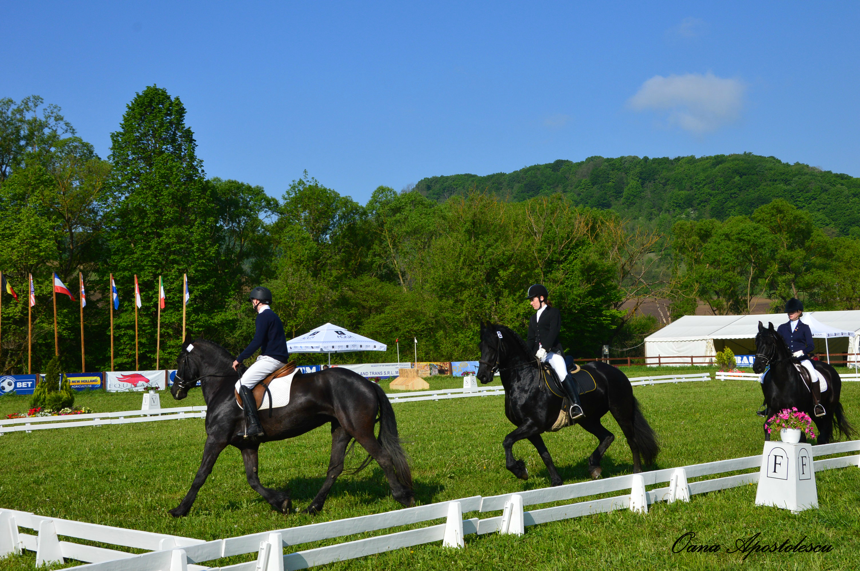 Transylvania Horse Show 2015