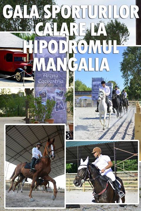 Gala sporturilor călare la Hipodromul Mangalia