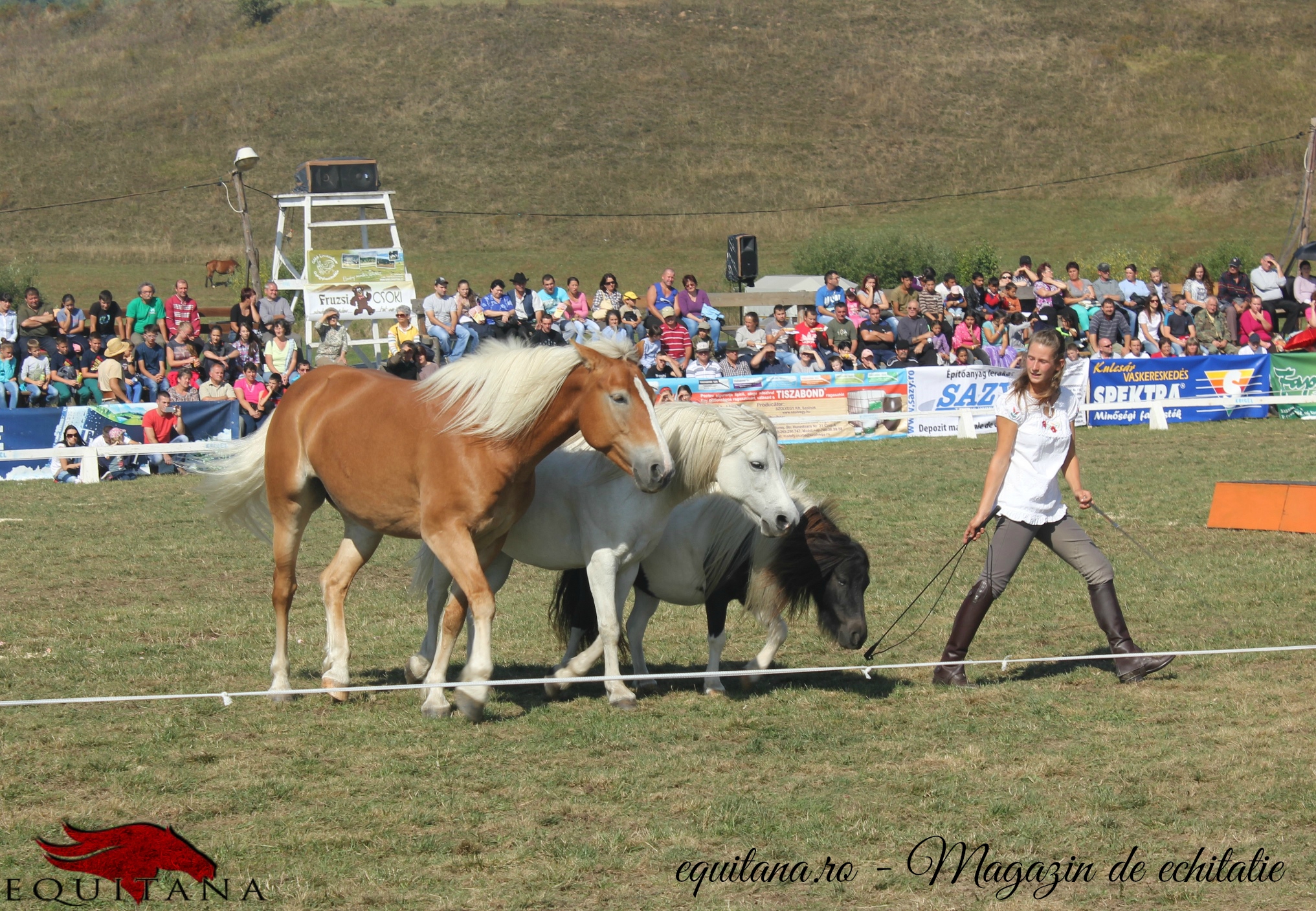 Magazinul EQUITANA a participat la Sărbătoarea Ecvestră Secuiască