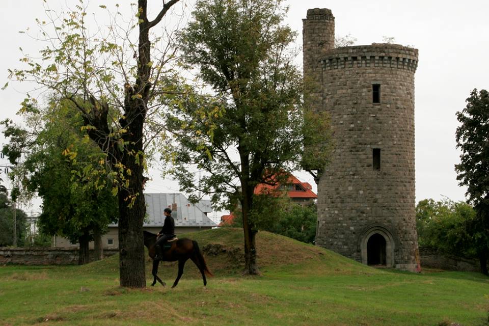 Plimbări călare pe Domeniul Cantacuzino Floreşti