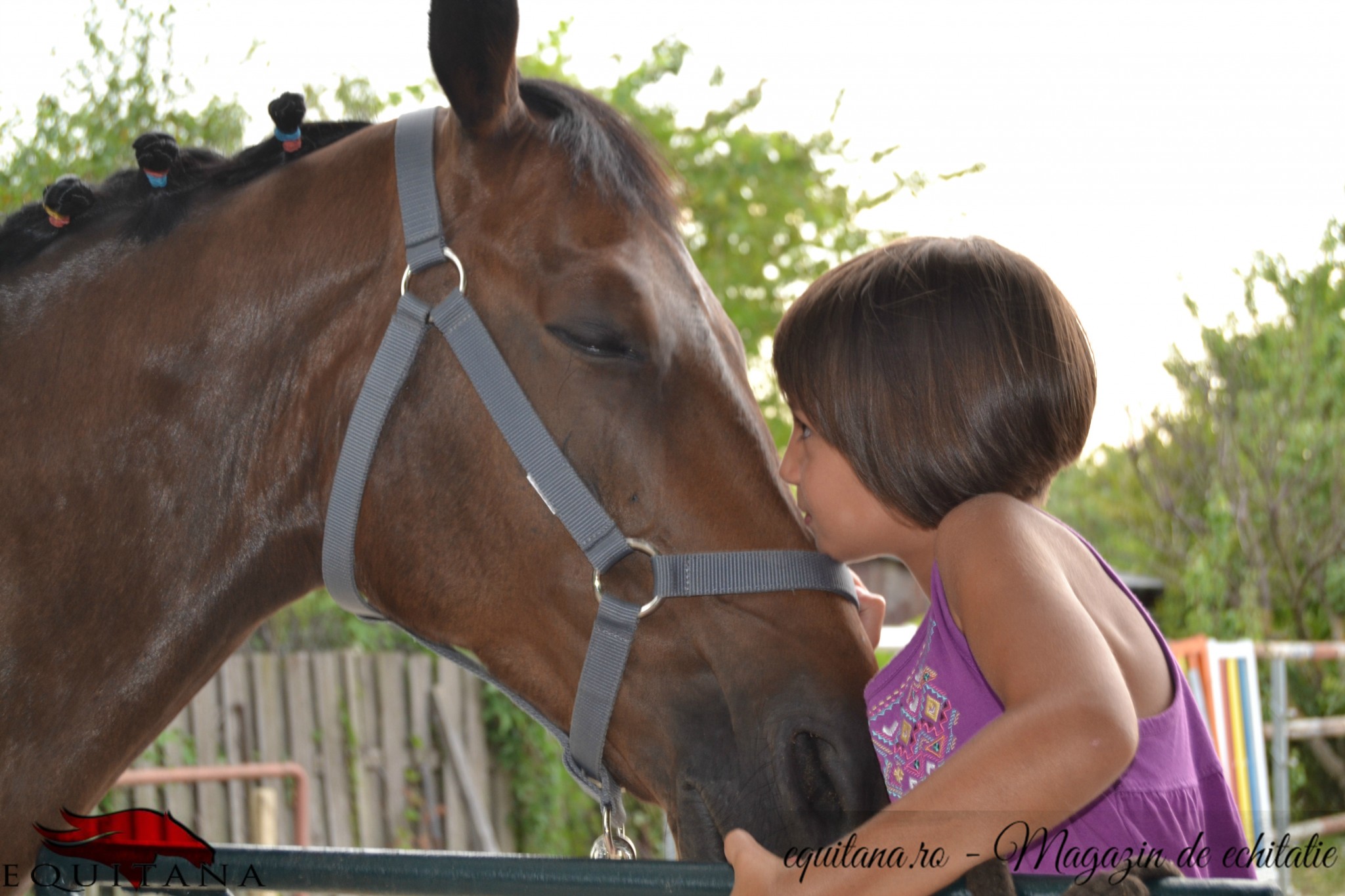 Savannah Riding Club