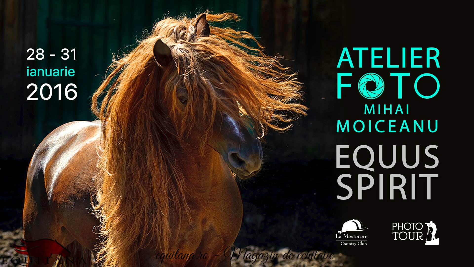 Atelier de fotografie Equus Spirit