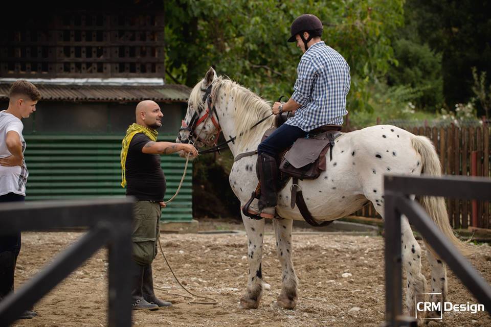 De vânzare: Iapă Appaloosa