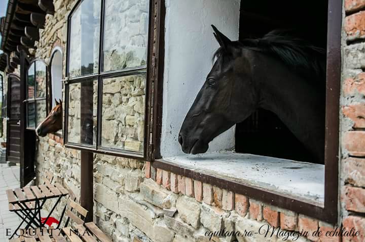 Deschiderea oficială Villa Abbatis Equestrian Center, loc. Apoș, jud. Sibiu