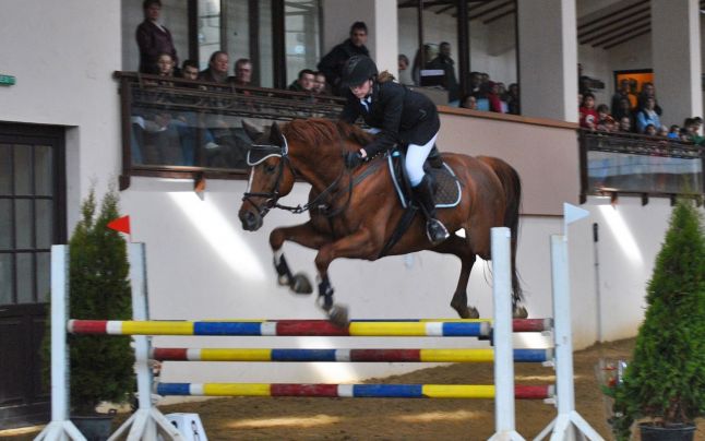 Finalele de Campionat Național Cai tineri și Grand Prix, Prejmer, jud. Brașov