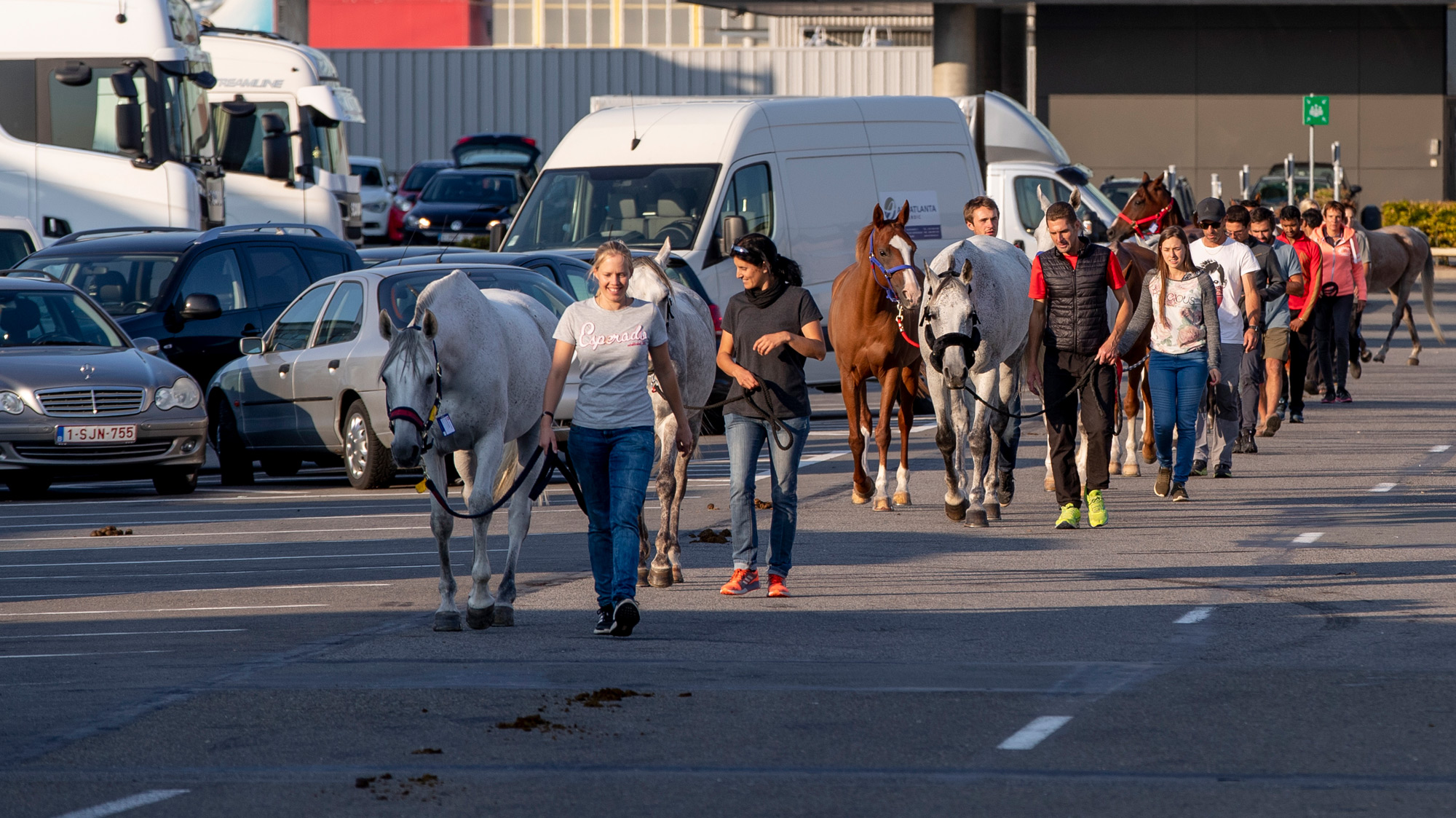 Jocurile Mondiale Ecvestre 2018, Tryon, SUA