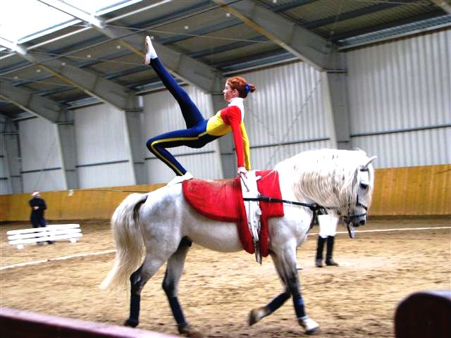 Campionat național de voltijă, Timișoara