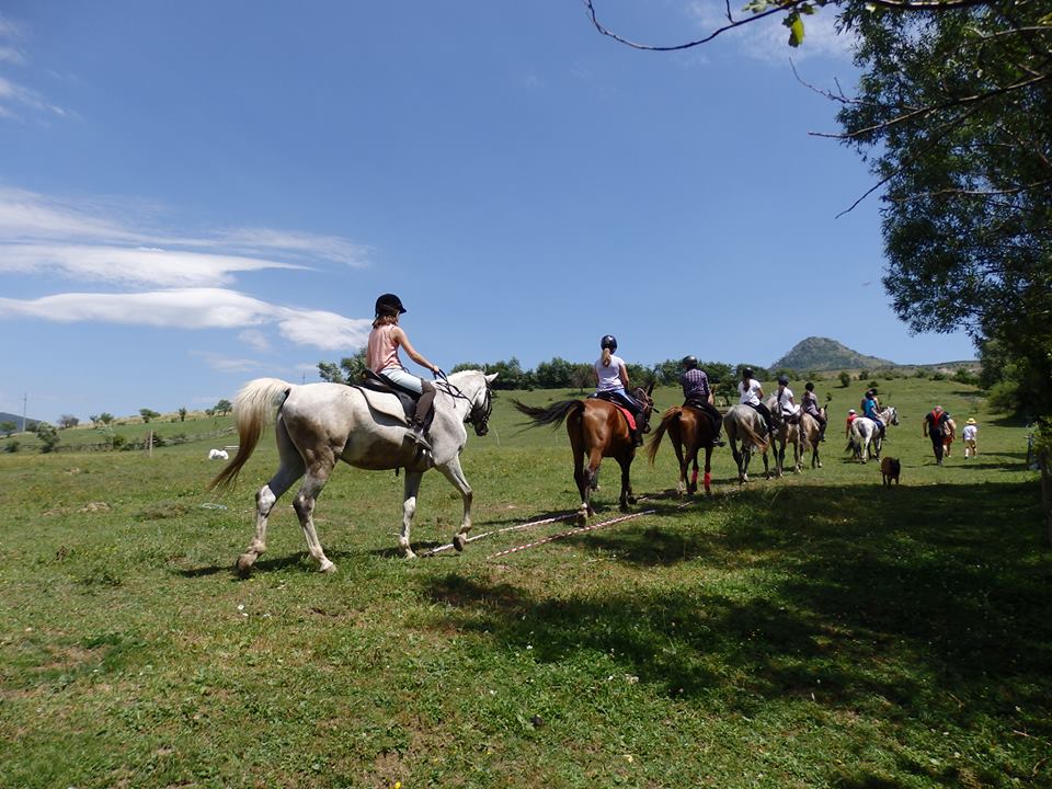 Tabăra de echitație 7Cai, Nămăiești, jud. Argeș