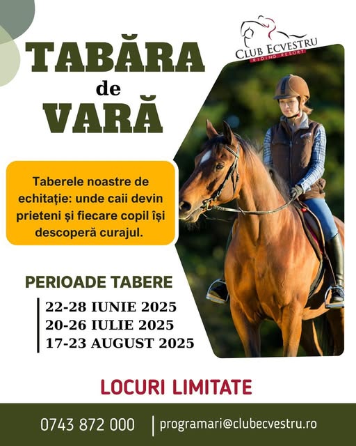 Tabere pentru copii în județul Sibiu cu profesioniștii de la Club Ecvestru Transilvania