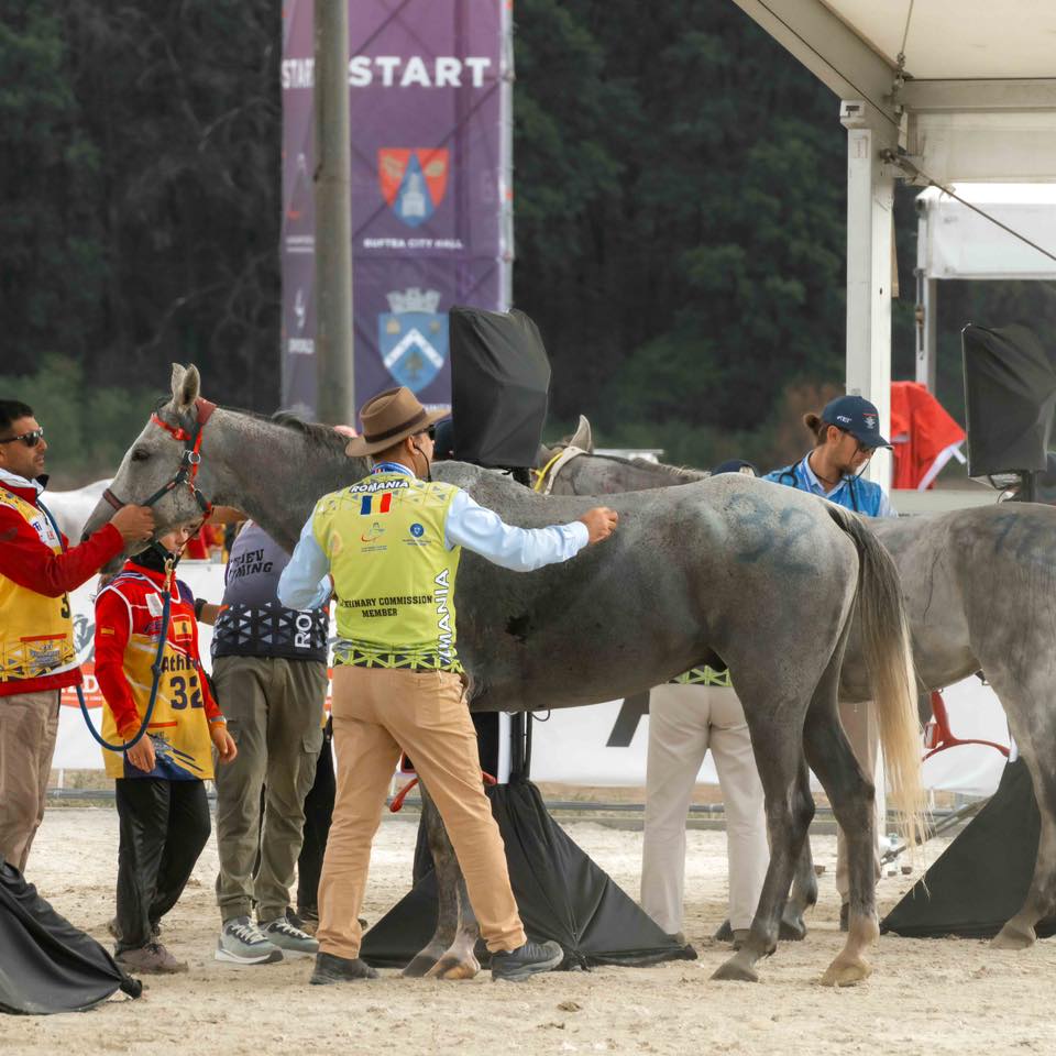 Ținem pumnii strânși la Buftea! Susținem tinerii călăreți la Mondialul FEI-FER de Anduranță