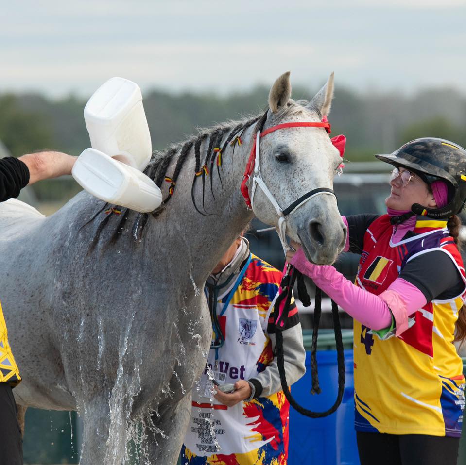 Fingers crossed in Buftea! Cheering on the young riders at the FEI–FER Endurance Worlds