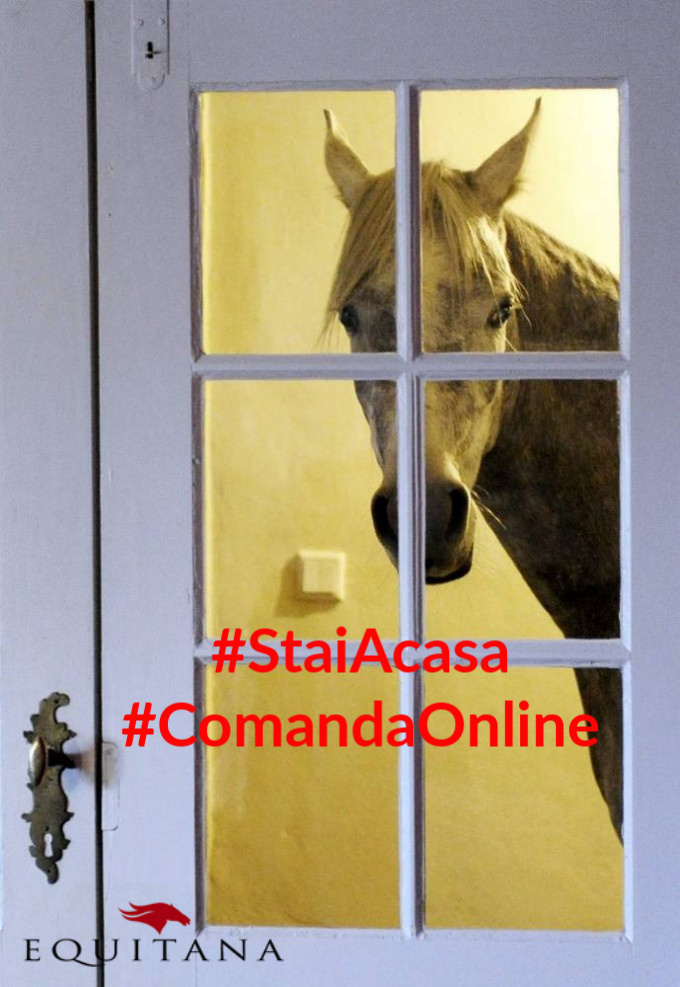 #StaiAcasă#ComandăOnline#ÎmpreunăLaDistanță