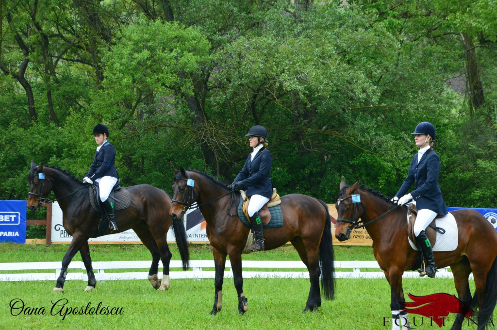 Între 8-10 mai 2015 are loc concursul Transylvania Horse Show
