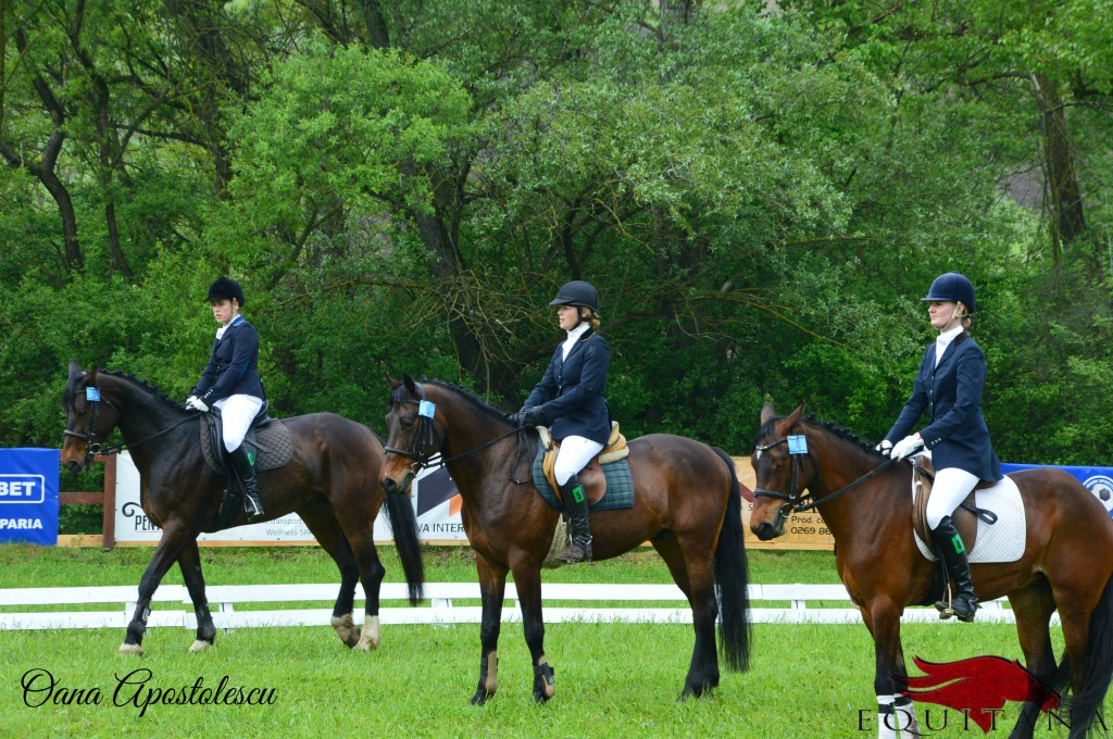 Între 8-10 mai 2015 are loc concursul Transylvania Horse Show