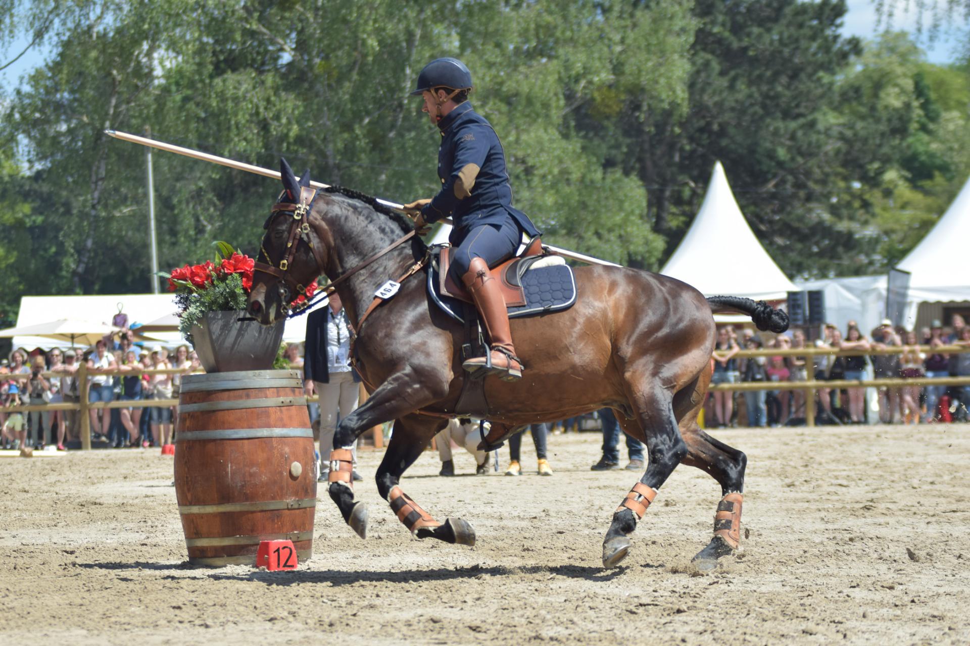 Working Equitation "La Porțile Deltei"