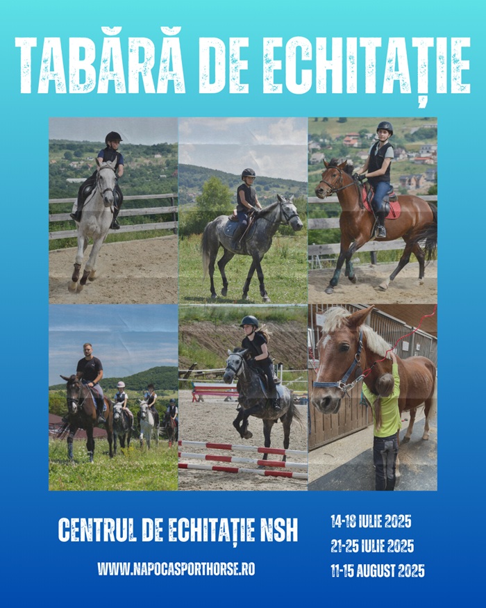Invitație în tabere la Cluj de la Napoca Sport Horse