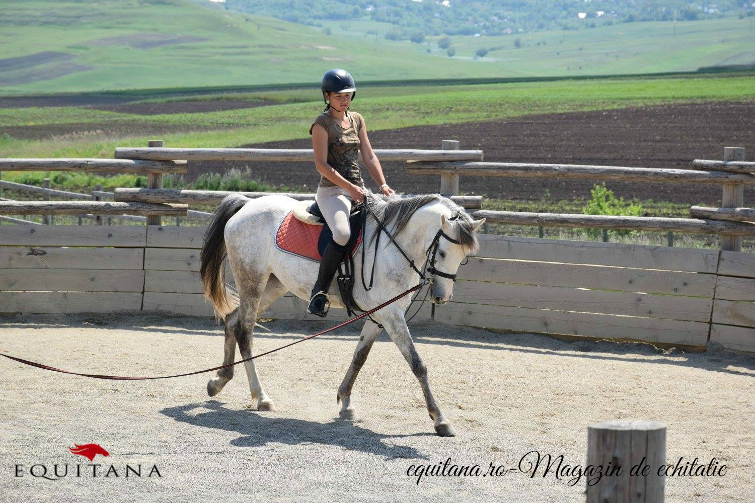 DE VÂNZARE: IAPĂ SHAGYA ARAB