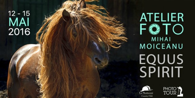Atelier Foto Equus Spirit cu Mihai Moiceanu 2016