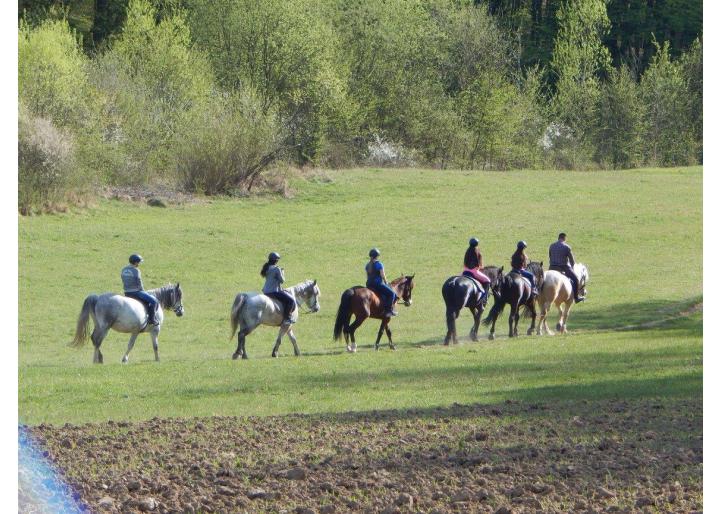 Centrul de echitație Mentor, Hidișelu de Jos, jud. Bihor