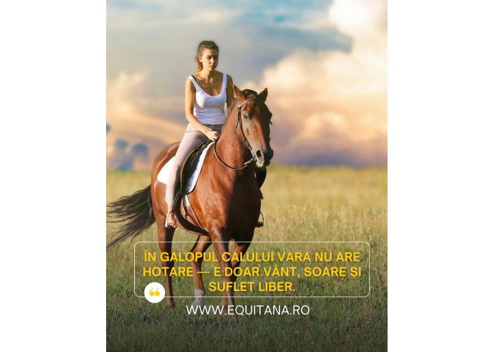Vara este un galop. Bucură-te de ea la fiecare pas