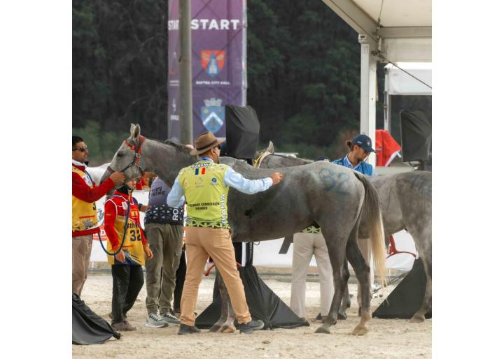 Ținem pumnii strânși la Buftea! Susținem tinerii călăreți la Mondialul FEI-FER de Anduranță
