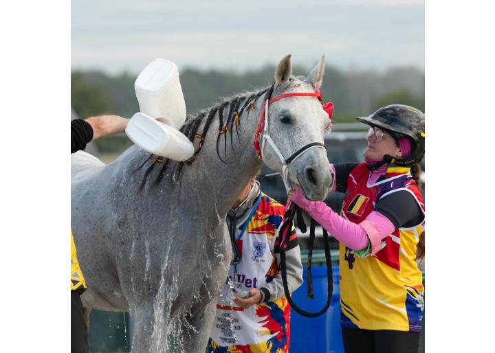 Fingers crossed in Buftea! Cheering on the young riders at the FEI–FER Endurance Worlds
