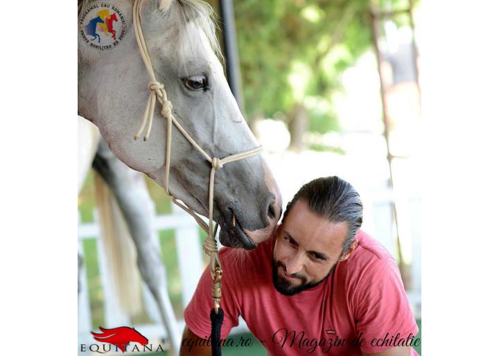 Programul Caii României: Dresajul unui cal matur