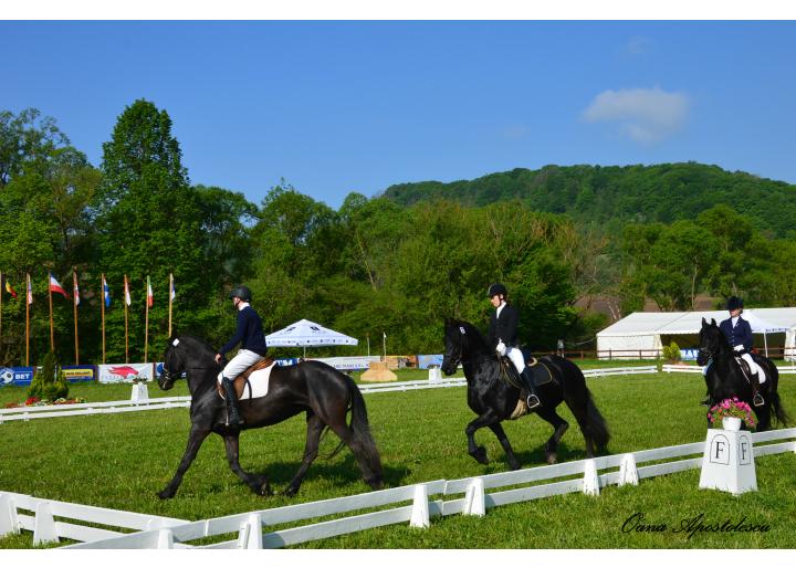 Transylvania Horse Show 2015