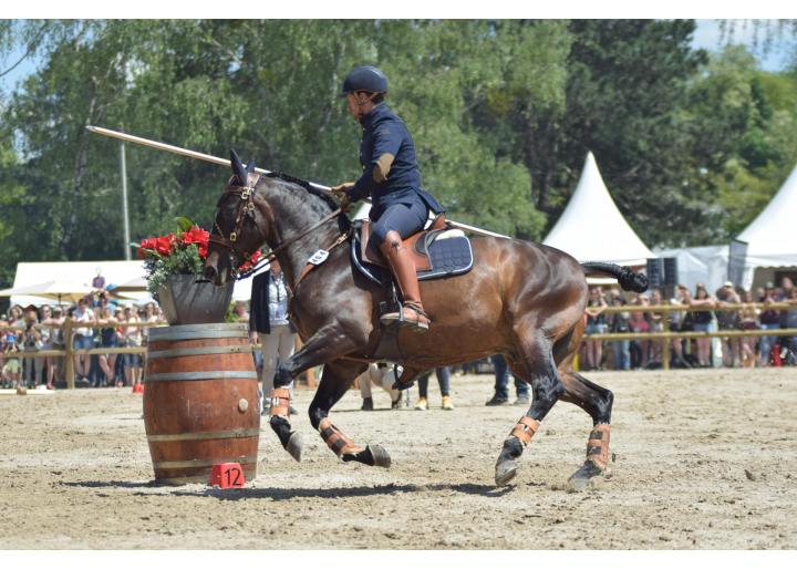 Working Equitation "La Porțile Deltei"