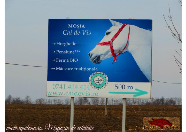 Centrul de echitaţie şi Pensiunea Cai de Vis, Vârful Câmpului,  jud. Botoşani