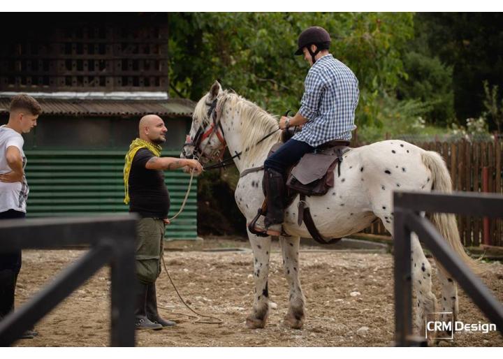 De vânzare: Iapă Appaloosa