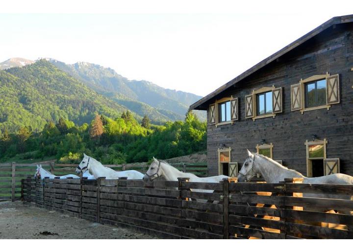 Maggie’s Ranch, Centru ecvestru în Valea Glăjăriei, jud. Brașov