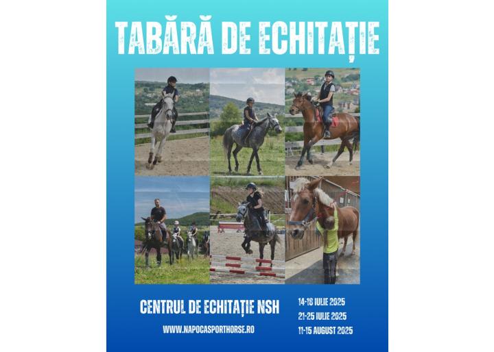 Invitație în tabere la Cluj de la Napoca Sport Horse