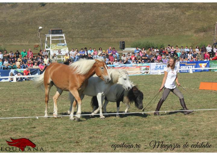 Magazinul EQUITANA a participat la Sărbătoarea Ecvestră Secuiască