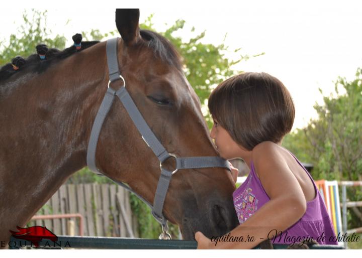 Savannah Riding Club