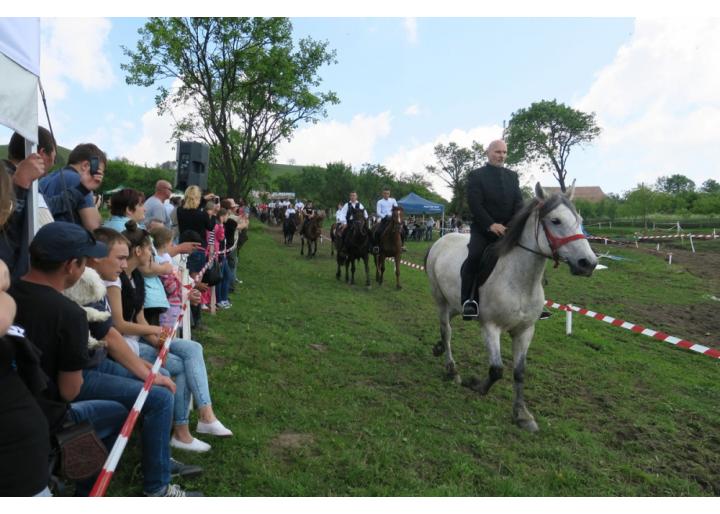 Consiliul Județean Harghita susține introducerea lecțiilor de călărie în programul școlar